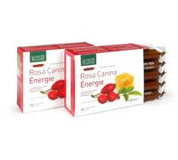 Natura Service srl Ampolle Bevibili Rosa Canina Energie Biologico 10 ampolle da 10 ml