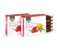 Natura Service Ampolle bevibili Rosa Canina Energie Biologico 10 x 10 ml