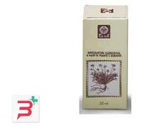 ROSA CANINA GEMME ANALCOLICO 50 ML