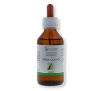 Rosa Canina Gemmo Derivato 33 Arcangea Bio 100 ml