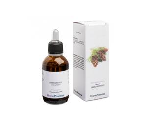 Rosa Canina Gemmod 100ml
