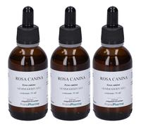 Rosa Canina Gemmoderivato 3x50 ml