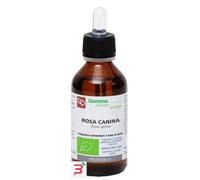 Fitomedical Snc Di Moretti G. Rosa Canina Macerato Glicerinato Bio 100 Ml