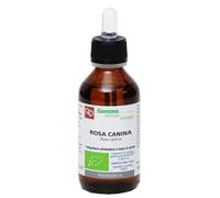 Rosa Canina Mg Bio 100ml