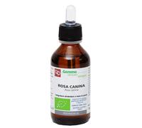 Fitomedical Macerato Glicerico Rosa Canina Bio 100 ml