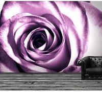 Rosa Carta da Parati Fiori Viola Bambina Camera Letto Arte 366x254cm Primo Piano