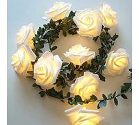 Rosa catene luminose con foglie verdi, Runaup 3M/9,81piedi 20 LED bianco caldo luci natalizie con fiori in rattan, batteria caricata luci decorative per il compleanno partito nozze festival