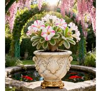 Rosa del deserto facile da coltivare/Resistente alla siccità e al sole/Tuberi rari di Desert Rose/Arredamento vintage per la casa-5 Rizoma-G