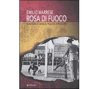 Rosa di fuoco. Romanzo di sangue, pallone e piroscafi