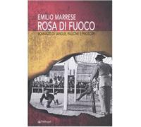 Rosa di fuoco. Romanzo di sangue, pallone e piroscafi - Marrese Emilio