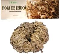 Rosa di Gerico - Pianta della Resurrezione | 100% Naturale | Purificazione e Protezione
