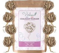 Rosa di Gerico X8, Chajarat Mariam - Taglia S (piccola) - Pianta che favorisce la fertilità - Anastatica Hierochuntica [soddisfatti o rimborsati]