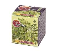 Rosa di Jericho (Selaginella lepydophylla) - 1 Tubero , Piante da camera