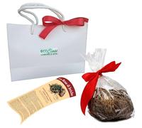Rosa di jericho selelezionata e pulita in confezione regalo