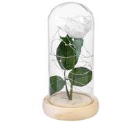 Rosa di seta bianca e luce a led in una cupola di su una base di legno