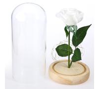 Rosa di seta bianca e luce a led in una cupola di su una base di legno
