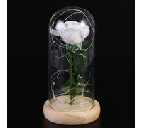 Rosa di seta bianca e luce a led in una cupola di su una base di legno