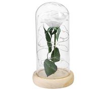 Rosa di seta bianca e luce a led in una cupola di su una base di legno