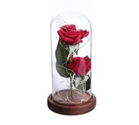 Rosa di seta rossa e luce a led in una cupola di su una base di legno per