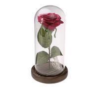 Rosa di seta rossa e luce a led in una cupola di su una base di legno per