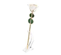 Rosa Dorata 24k, Rosa Immersa Nell'oro Fiore di Rosa Vera 24k Rosa Vera Placcata Oro 24k con Supporto a Stelo Lungo Rosa Placcata Oro Bianco Rosa Vera Conservata Per Sempre Per Anniversari E San Valen