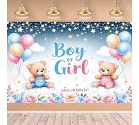 Rosa e Blu Genere Rivela Decorazioni per Feste Boy Or Girl Gender Reveal Fondale Banner Party Sfondo Annuncio di Gravidanza Sfondo di Fotografia per Baby Shower Genere Rivela Feste 180 x 110cm (E)