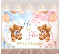 Rosa e Blu Genere Rivela Decorazioni per Feste She Or He Gender Reveal Fondale Banner Party Sfondo Annuncio di Gravidanza Sfondo di Fotografia per Baby Shower Genere Rivela Feste 180 x 120cm (D)