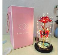 Rosa Eterna Bella e la Bestia con Campana Led Cloche Decorazione Regalo