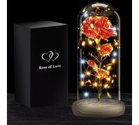 Rosa Eterna con Led Regalo Romantico per Donna Fiore Artificiale La Bella e la