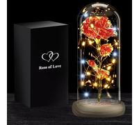 Rosa Eterna con Led | Regalo Romantico per Donna | Fiore Artificiale La Bella e la Bestia | Con Led, Campana di Vetro, Scatola Regalo | San Valentino, Festa della Mamma, Matrimonio | OriginalCorner®