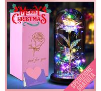 Rosa Eterna in Cupola Vetro Idea Regalo Natale Rosa Luce LED Bella e la Bestia