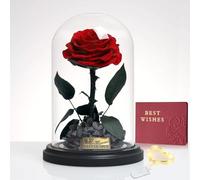 Rosa eterna in vetro con LED, vera rosa infinita in una cupola di vetro con una confezione regalo, regalo per donne, mamma, nonna, fidanzata, festa della mamma, San Valentino, Natale