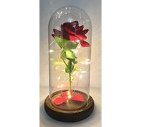 Rosa Eterna La Bella e la Bestia con Campana in Vetro LED Regalo San Valentino