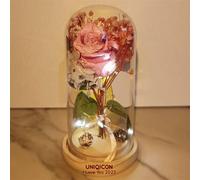 Rosa Eterna, La Bella e La Bestia Rose Incantate,Elegante Cupola di Vetro con Base Pino Luci LED, Romantico Kit di Rose, Regalo per Donne, Mamma, Fidanzata, Anniversario, Matrimonio, Coppia Amica