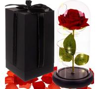 Rosa Eterna-Rosa Bella e Bestia-Elegante Cupola di Cristallo Luce Led-Regali Originali Nonna Compleanno per Donna-Romantico, Regalo di Sposa Matrimonio-Moglie Decorazione per Festa della Mamma-San