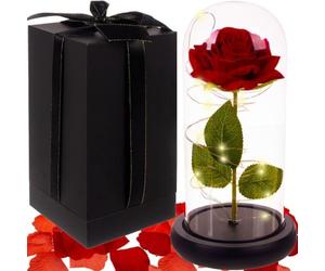 Rosa Eterna-Rosa Bella e Bestia-Elegante Cupola di Cristallo Luce Led-Regali Originali Nonna Compleanno per Donna-Romantico, Regalo di Sposa Matrimonio-Moglie Decorazione per Festa della Mamma-San