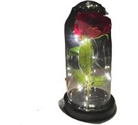 Rosa Eterna Rosa di vetro, rosa for sempre fiore artificiale in lamina d'oro 24K eterna con luci nella cupola for decorazioni for la casa regalo compleanno luce ambientale for San Valentino(29)