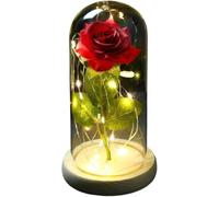 Rosa Eterna Rosa di vetro, rosa for sempre fiore artificiale in lamina d'oro 24K eterna con luci nella cupola for decorazioni for la casa regalo compleanno luce ambientale for San Valentino(17)