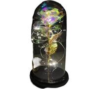 Rosa Eterna Rosa di vetro, rosa for sempre fiore artificiale in lamina d'oro 24K eterna con luci nella cupola for decorazioni for la casa regalo compleanno luce ambientale for San Valentino(26)