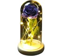 Rosa Eterna Rosa di vetro, rosa for sempre fiore artificiale in lamina d'oro 24K eterna con luci nella cupola for decorazioni for la casa regalo compleanno luce ambientale for San Valentino(19)