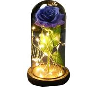Rosa Eterna Rosa di vetro, rosa for sempre fiore artificiale in lamina d'oro 24K eterna con luci nella cupola for decorazioni for la casa regalo compleanno luce ambientale for San Valentino(Color2)