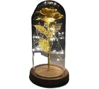 Rosa Eterna Rosa di vetro, rosa for sempre fiore artificiale in lamina d'oro 24K eterna con luci nella cupola for decorazioni for la casa regalo compleanno luce ambientale for San Valentino(Color5)