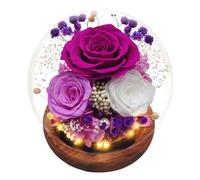 Rosa Eterna, Rosa di Vetro Stabilizzata, Infinity Vetro Rosa Viola con Luce, Rosa Conservato Sfera di Cristallo, Regalo per Donne Mamma Moglie, Rosa Eterna Compleanno San Valentino Natale Festa Della