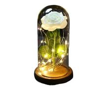 Rosa Eterna,Rosa Stabilizzata Fiore artificiale rosa eterno in lamina d'oro 24 carati con luci a cupola for la decorazione domestica Regalo di compleanno luce ambientale for San Valentino(Color3)
