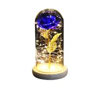 Rosa Eterna,Rosa Stabilizzata Fiore eterno di lamina d'oro 24K di rosa incantata con lucine a forma di stringa nella cupola for il regalo di San Valentino di Natale(Blue)