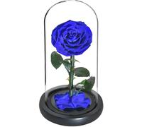Rosa Eterna Rose Eterne Conservate in Cupola di Vetro 5 Teste di Fiore Rosa Amore Eterno Bomboniera di Nozze per Donne Fidanzate, Bluerose
