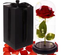 Rosa Eterna Stabilizzata Rossa in Campana Vetro Luci LED Regalo San Valentino
