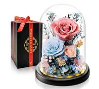 Rosa Eterna Stabilizzata sotto Campana I Regalo di Lusso con Luce LED I Perfetta per Anniversario, Festa della Mamma I Ideale per Moglie, Fidanzata, Mamma e Nonna I Fiore Preservato che Dura Anni