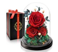 Rosa Eterna Stabilizzata sotto Campana I Regalo di Lusso con Luce LED I Perfetta per Anniversario, Festa della Mamma I Ideale per Moglie, Fidanzata, Mamma e Nonna I Fiore Preservato che Dura Anni
