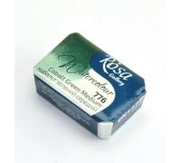 Rosa Galleria Artista Qualità Acquerello Completo Vaschette Fare il Tuo Stile Di